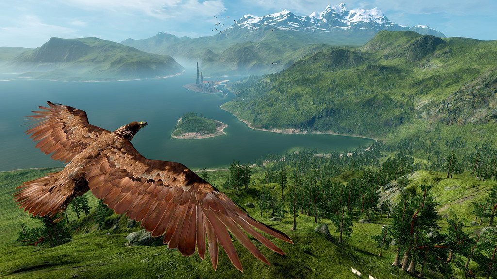 wild michel ancel