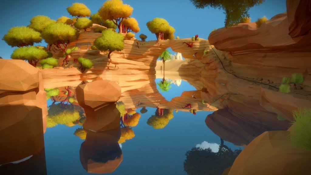 the witness