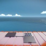 the witness