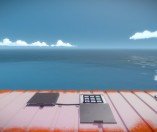 The Witness