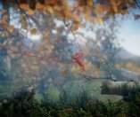 Unravel 01