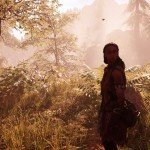 far cry primal