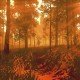 Firewatch è stato il gioco più venduto sul PlayStation Store a febbraio