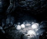 The Solus Project 01