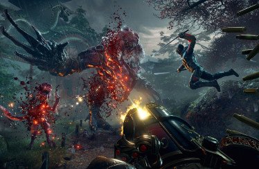 koch media flying wild hog