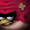 angry birds cerotto