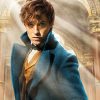 Animali Fantastici e Dove Trovarli serie cinque film