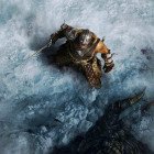 skyrim anniversary edition