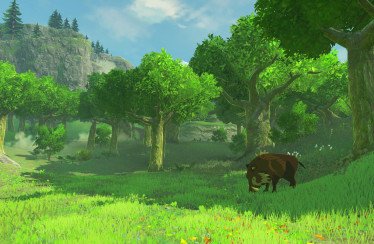 the legend of zelda open world The Legend of Zelda Breath of the Wild 06