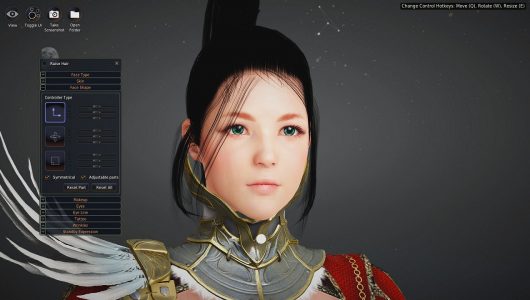 Black Desert Online immagine PC 05