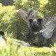 The Last Guardian è entrato in fase gold