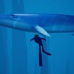 abzu recensione pc ps4