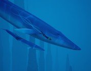 abzu recensione pc ps4