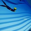 abzu milano games festival recensione pc ps4 16