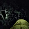 Blair Witch immagine Cinema 02