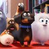 Pets – Vita da animali immagine Cinema 01