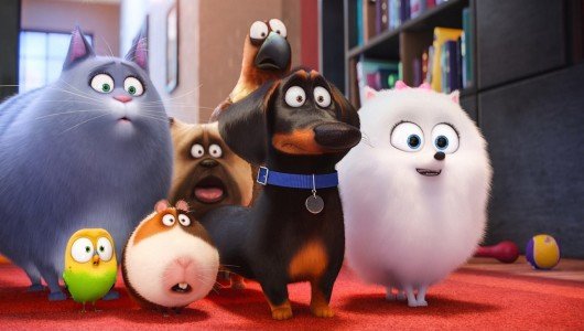 Pets – Vita da animali immagine Cinema 01