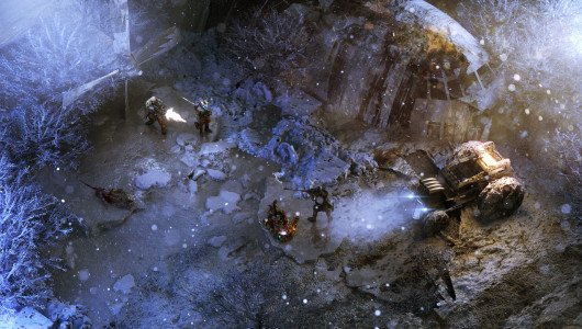 wasteland 3 fig