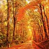 Rituali di settembre