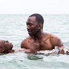 Moonlight immagine Cinema 01