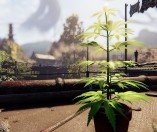 Shadow Warrior 2 è gratuito su GOG per le prossime 48 ore