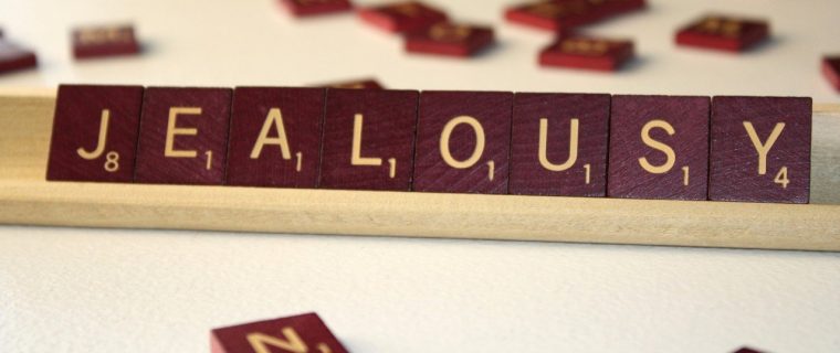 la gelosia delle cose editoriale