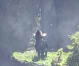 The Last Guardian