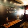 Crystal Dynamics