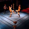 Spike Chunsoft preannuncia un possibile ritorno di Fire Pro Wrestling
