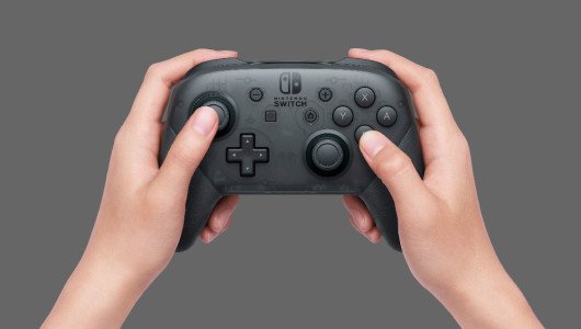 Nintendo Switch Pro Contoller pc