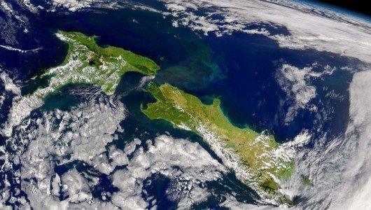 voglio andare a vivere in nuova zelanda