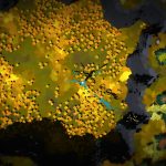 future unfolding recensione pc steam