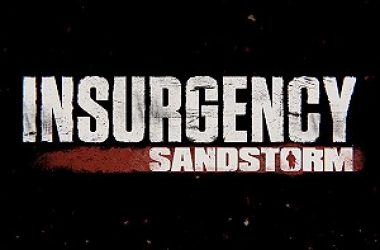 Insurgency Sandstorm Hub piccola