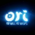 Ori and the Will of the Wisps Hub piccola