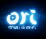 Ori and the Will of the Wisps Hub piccola