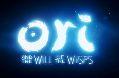 Ori and the Will of the Wisps Hub piccola