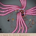 Ray Bibbia demo
