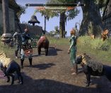 The Elder Scrolls Online: Tamriel Unlimited 01