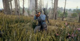 playerunknown's battlegrounds ps4