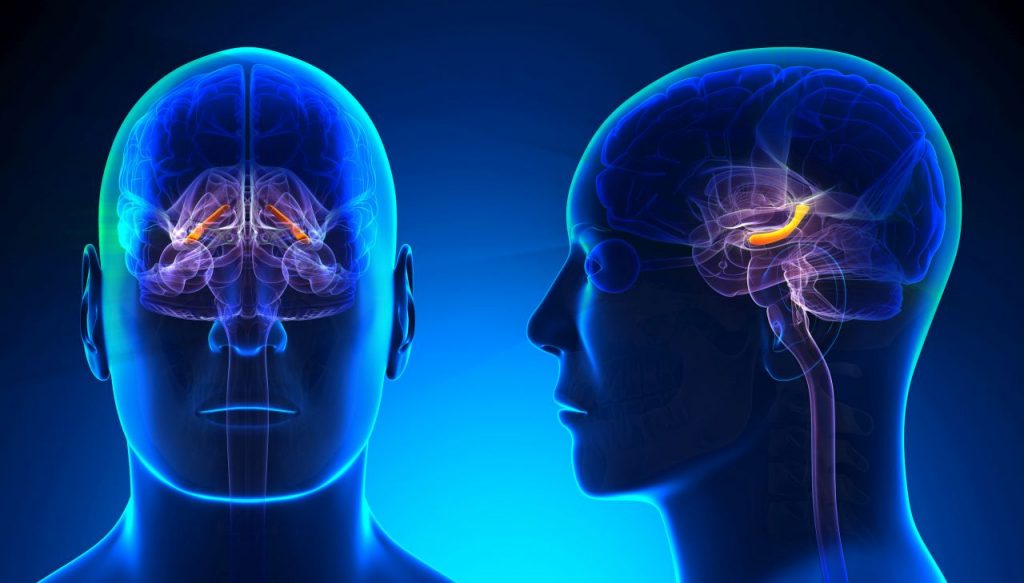 I videogiochi fanno male al cervello? Editoriale The Games Machine