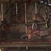 Leatherface immagine Cinema 02