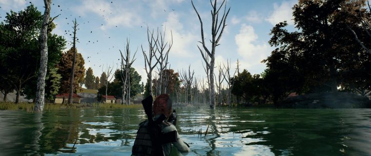 survival