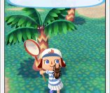 Animal Crossing Pocket Camp