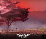 Samurai Riot immagine PC Hub piccola