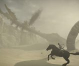 Shadow of the Colossus Hub piccola