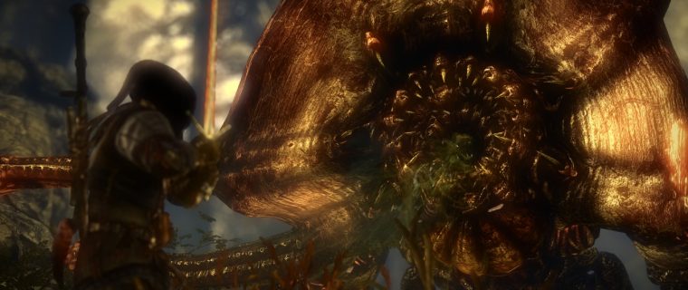 boss battle the witcher 2