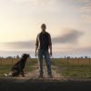 Farming Simulator 19 vendite