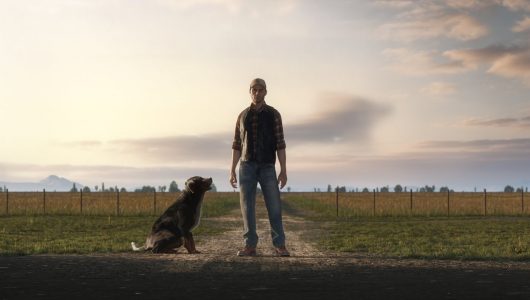 Farming Simulator 19 vendite
