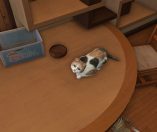 Yakuza 6 01