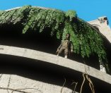 The Council Episode 1 The Mad Ones immagine PC PS4 Xbox One Hub piccola